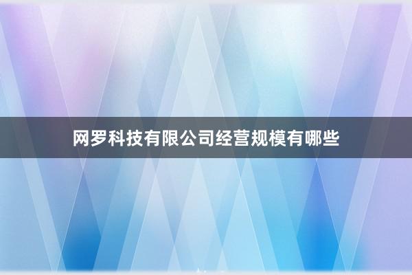 网罗科技有限公司经营规模有哪些