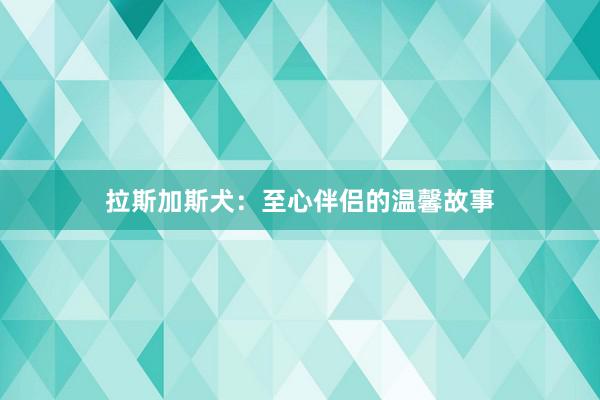 拉斯加斯犬：至心伴侣的温馨故事